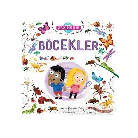 Çevremizdeki Dünya Böcekler - Kolektif - İş Bankası Kültür Yayınları