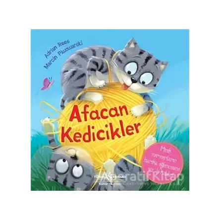 Afacan Kedicikler - Adrian Rees - İş Bankası Kültür Yayınları