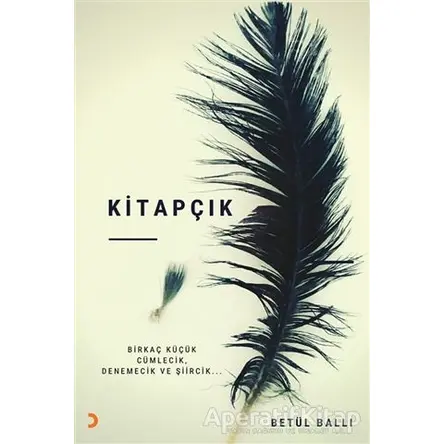 Kitapçık - Betül Ballı - Cinius Yayınları