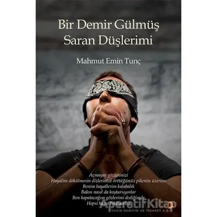 Bir Demir Gülmüş Saran Düşlerimi - Mahmut Emin Tunç - Cinius Yayınları