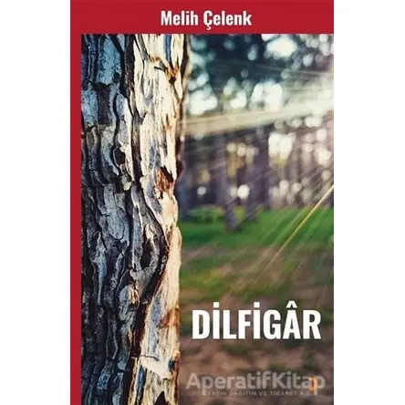 Dilfigar - Melih Çelenk - Cinius Yayınları