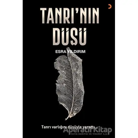 Tanrı’nın Düşü - Esra Yıldırım - Cinius Yayınları
