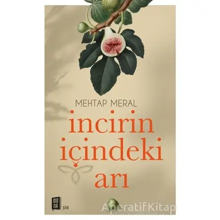 İncirin İçindeki Arı - Mehtap Meral - Mona Kitap