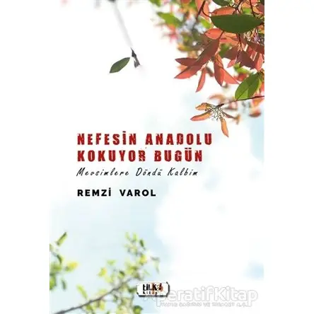 Nefesin Anadolu Kokuyor Bugün - Remzi Varol - Tilki Kitap