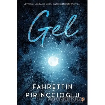 Gel - Fahrettin Pirinççioğlu - Cinius Yayınları