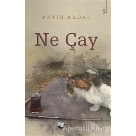 Ne Çay - Fatih Erdal - Karina Yayınevi
