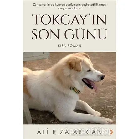 Tokcay’ın Son Günü - Ali Rıza Arıcan - Cinius Yayınları