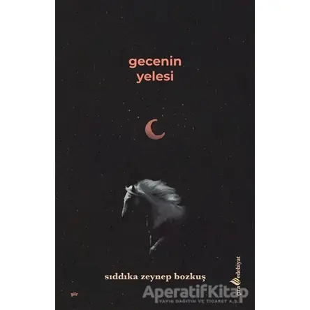 Gecenin Yelesi - Sıddıka Zeynep Bozkuş - Çıra Yayınları