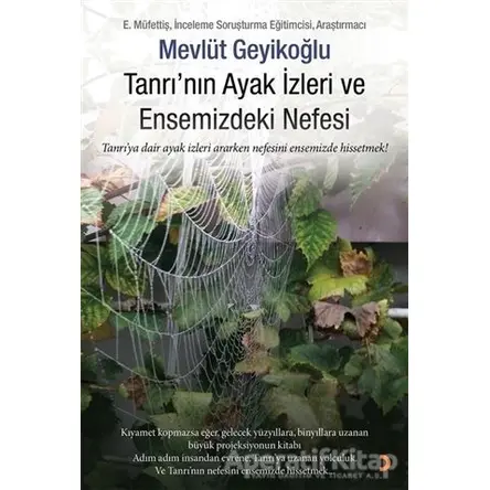 Tanrının Ayak İzleri ve Ensemizdeki Nefesi - Mevlüt Geyikoğlu - Cinius Yayınları