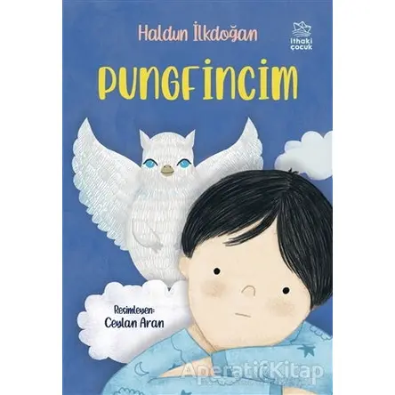 Pungfincim - Haldun İlkdoğan - İthaki Çocuk Yayınları