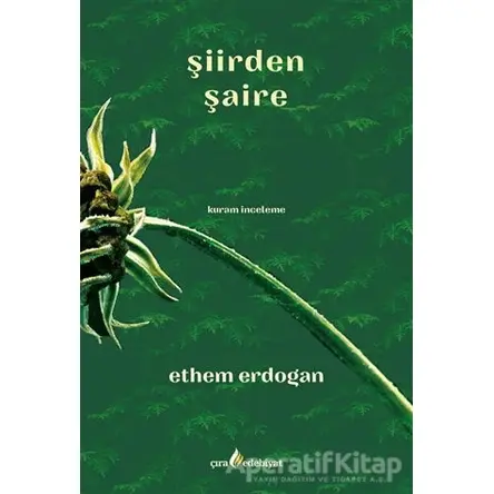 Şiirden Şaire - Ethem Erdoğan - Çıra Yayınları
