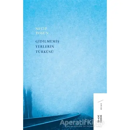 Gidilmemiş Yerlerin Türküsü - Necip Tosun - Ketebe Yayınları