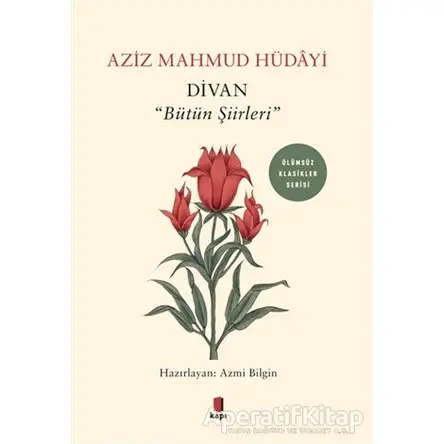 Divan - Bütün Şiirleri - Aziz Mahmud Hüdayi - Kapı Yayınları
