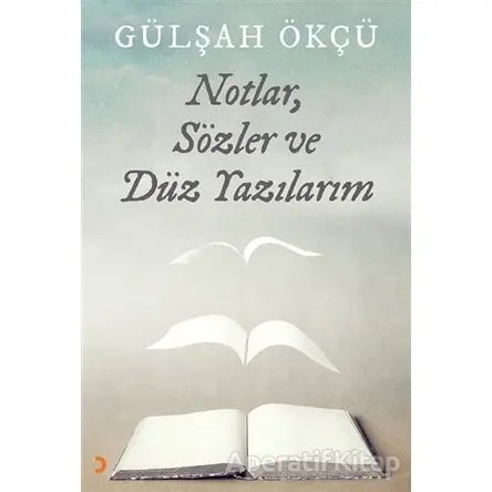 Notlar, Sözler ve Düz Yazılarım - Gülşah Ökçü - Cinius Yayınları