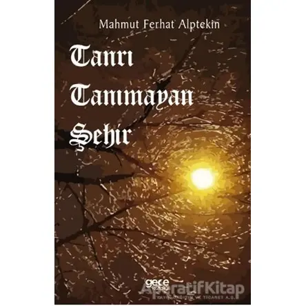 Tanrı Tanımayan Şehir - Mahmut Ferhat Alptekin - Gece Kitaplığı