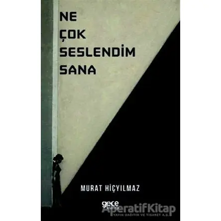 Ne Çok Seslendim Sana - Murat Hiçyılmaz - Gece Kitaplığı