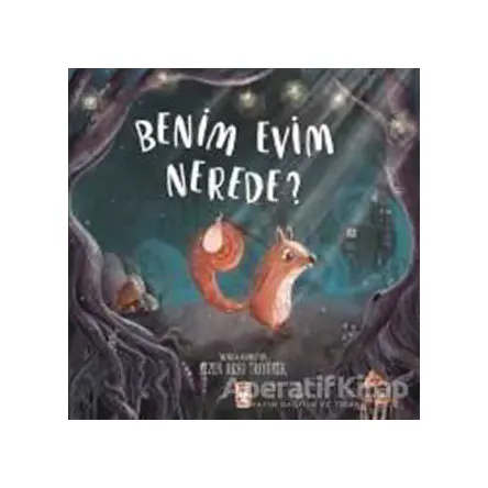 Benim Evim Nerede? - Sezen Aksu Taşyürek - Timaş Çocuk