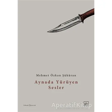 Aynada Yürüyen Sesler - Mehmet Özkan Şüküran - İthaki Yayınları