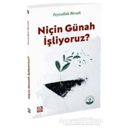 Niçin Günah İşliyoruz? - Feyzullah Birışık - Karınca & Polen Yayınları