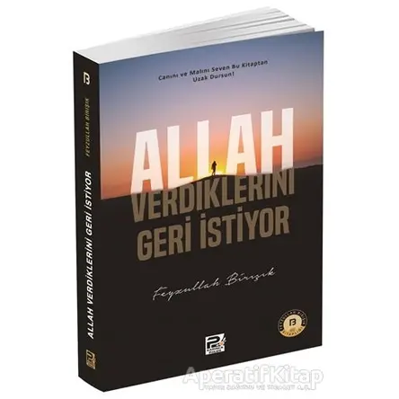 Allah Verdiklerini Geri İstiyor - Feyzullah Birışık - Karınca & Polen Yayınları