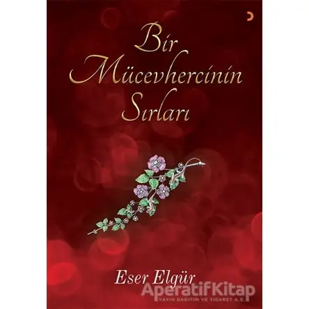 Bir Mücevhercinin Sırları - Eser Elgür - Cinius Yayınları