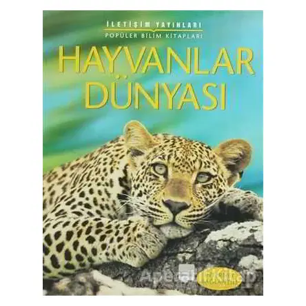 Hayvanlar Dünyası - Corinne Henderson - İletişim Yayınevi