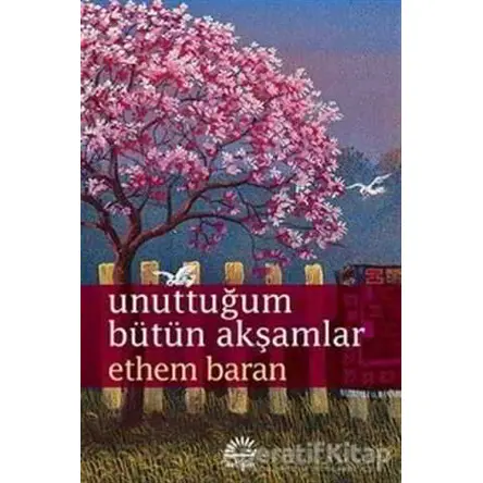 Unuttuğum Bütün Akşamlar - Ethem Baran - İletişim Yayınevi