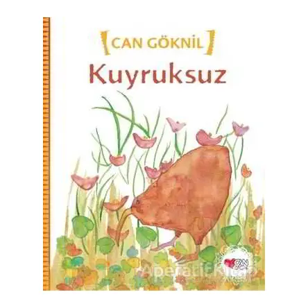 Kuyruksuz - Can Göknil - Can Çocuk Yayınları
