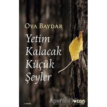 Yetim Kalacak Küçük Şeyler - Oya Baydar - Can Yayınları
