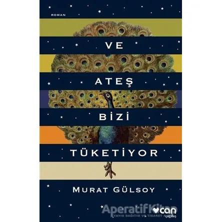 Ve Ateş Bizi Tüketiyor - Murat Gülsoy - Can Yayınları