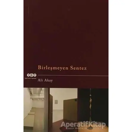 Birleşmeyen Sentez - Ali Akay - Yapı Kredi Yayınları