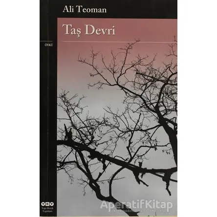 Taş Devri - Ali Teoman - Yapı Kredi Yayınları