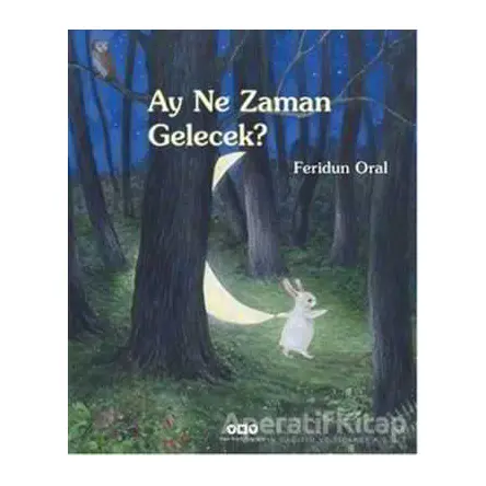 Ay Ne Zaman Gelecek - Feridun Oral - Yapı Kredi Yayınları