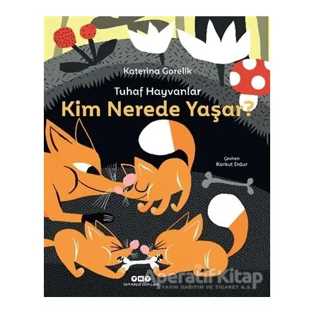 Tuhaf Hayvanlar – Kim Nerede Yaşar? - Katerina Gorelik - Yapı Kredi Yayınları