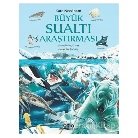 Büyük Sualtı Araştırması - Kate Needham - Yapı Kredi Yayınları