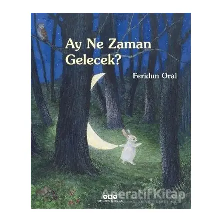 Ay Ne Zaman Gelecek? - Feridun Oral - Yapı Kredi Yayınları