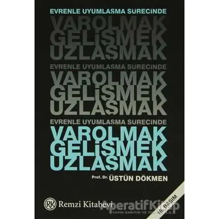 Evrenle Uyumlaşma Sürecinde Varolmak, Gelişmek, Uzlaşmak - Üstün Dökmen - Remzi Kitabevi