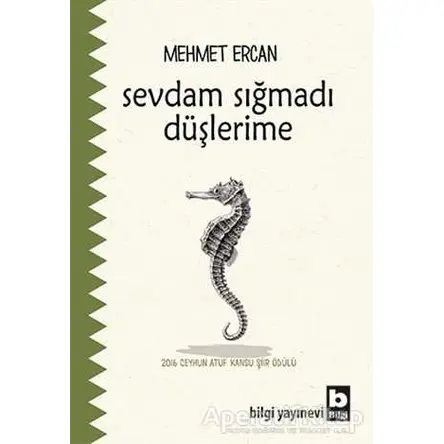 Sevdam Sığmadı Düşlerime - Mehmet Ercan - Bilgi Yayınevi