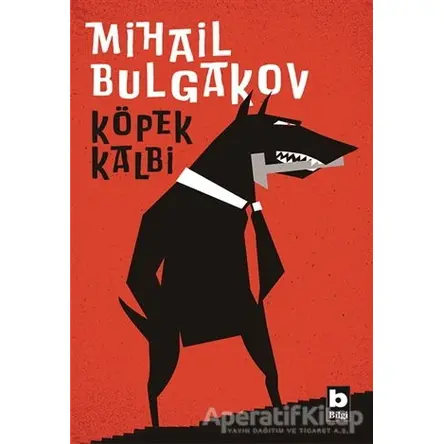 Köpek Kalbi - Mihail Afanasyeviç Bulgakov - Bilgi Yayınevi