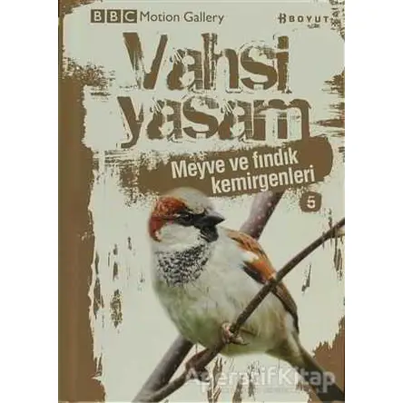 Vahşi Yaşam 2 - Meyve ve Fındık Kemirgenleri - Kolektif - Boyut Yayın Grubu