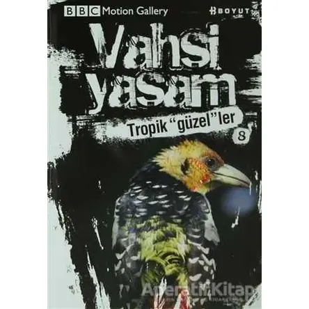 Vahşi Yaşam 2 - Tropik Güzeller - Dominic Couzens - Boyut Yayın Grubu