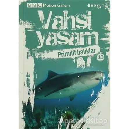 Vahşi Yaşam 2 - Primitif Balıklar - Kolektif - Boyut Yayın Grubu