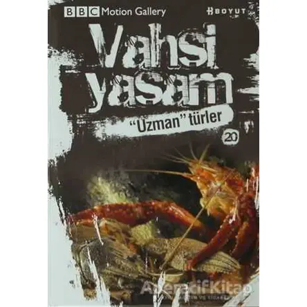 Vahşi Yaşam 2 - Uzman Türler - Ken Preston - Boyut Yayın Grubu