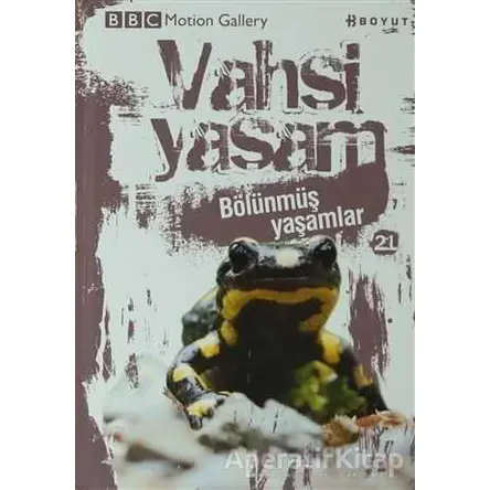 Vahşi Yaşam 2 - Bölünmüş Yaşamlar - Kolektif - Boyut Yayın Grubu