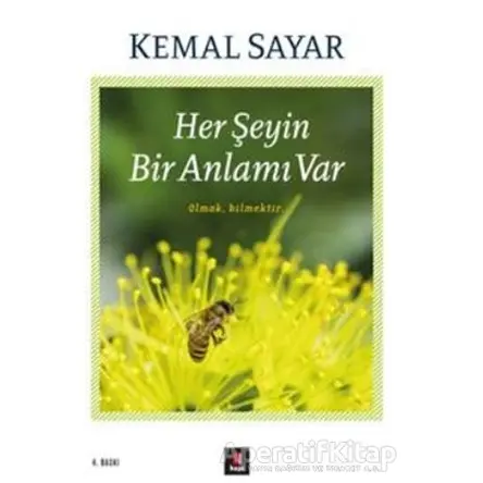 Her Şeyin Bir Anlamı Var - Kemal Sayar - Kapı Yayınları