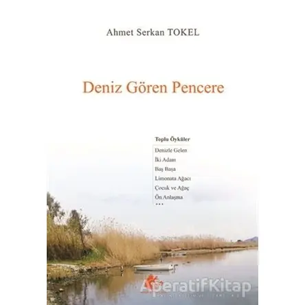 Deniz Gören Pencere - Ahmet Serkan Tokel - Meşe Kitaplığı