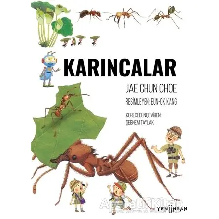 Karıncalar - Jae Chun Choe - Yeni İnsan Yayınevi