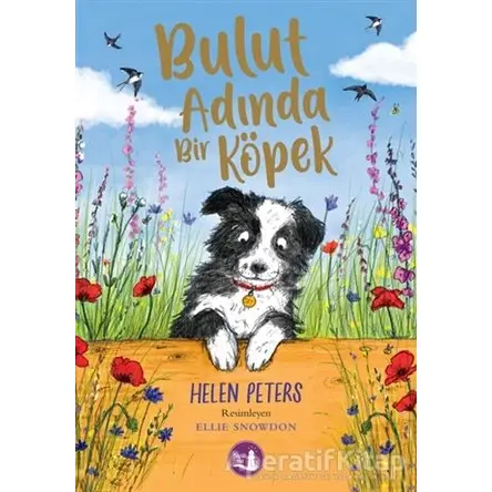 Bulut Adında Bir Köpek - Helen Peters - Büyülü Fener Yayınları