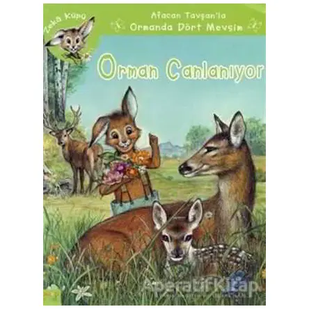 Orman Canlanıyor - Jeanne Hiver - Kaknüs Yayınları