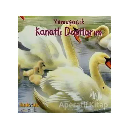 Yumuşacık Kanatlı Dostlarım - Kolektif - Kaknüs Yayınları